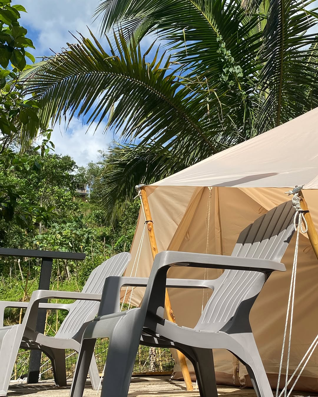 Belle Tent daytime exterior with palm trees at Sapa de la Belle